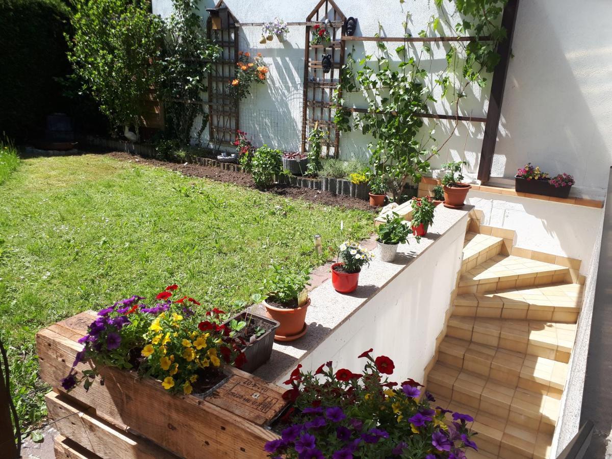 Hostel Bad Salzig Boppard Bagian luar foto